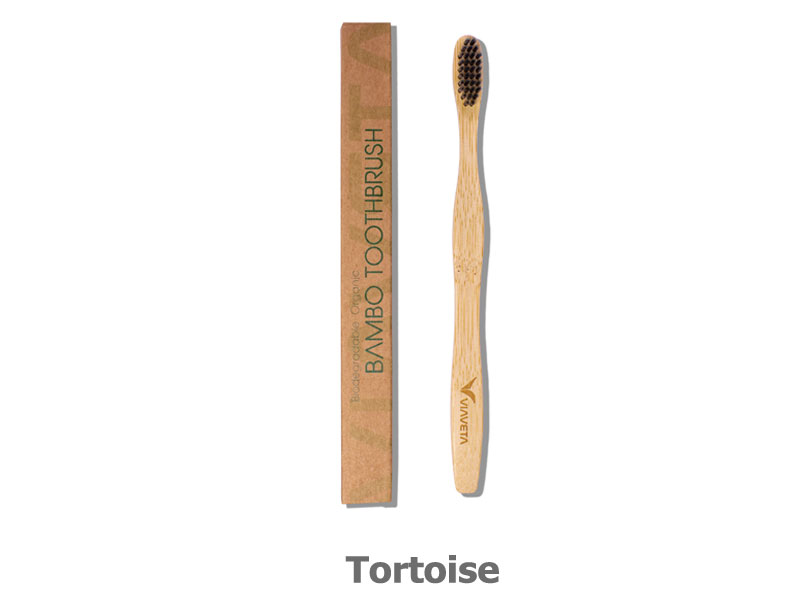 Tortoise